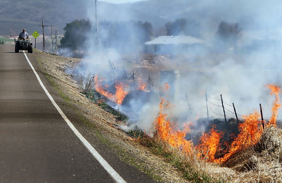 LA Fire Marshal Issues Statewide Ban | Fgazette.com