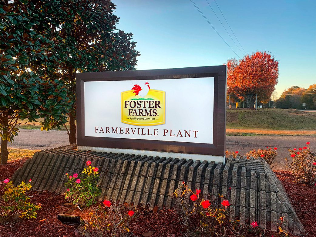 Farmerville hires firm for $350,000 upgrade to Foster Farms wells - Vimarsana News